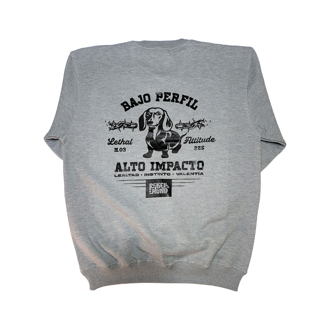 Polerón Crewneck About Expectations Gris